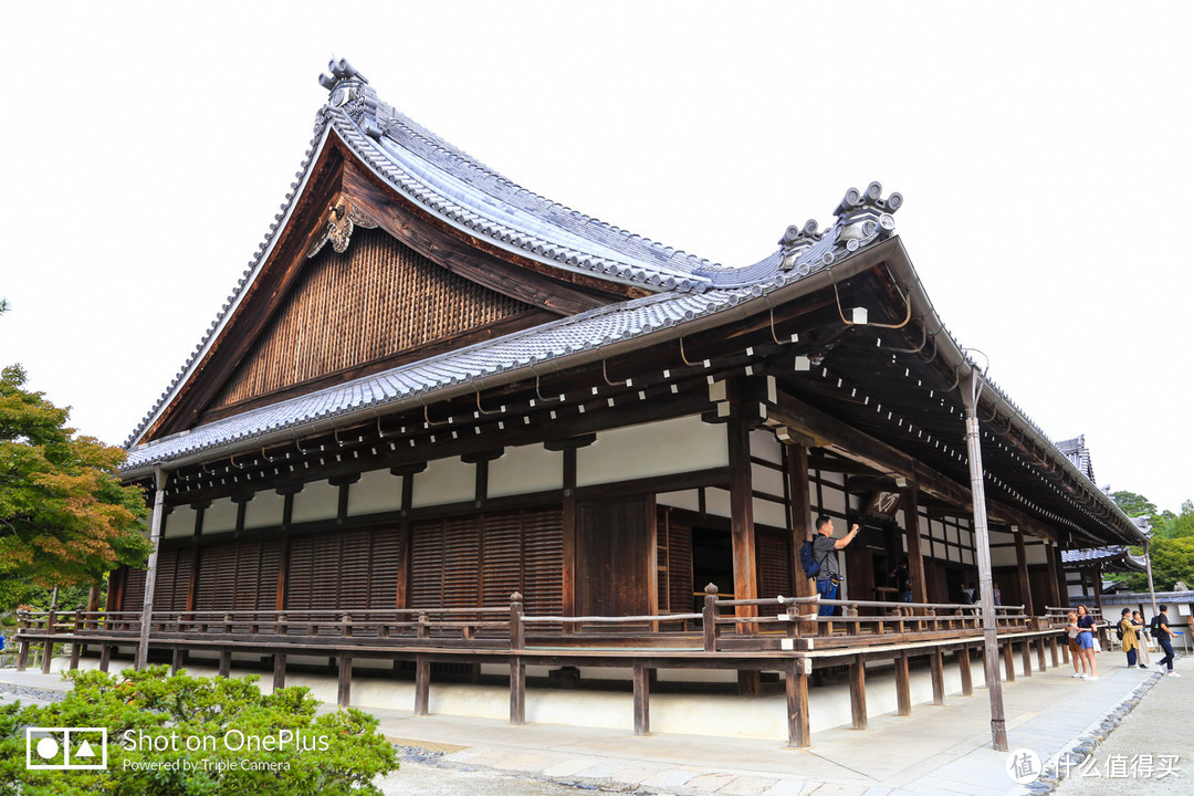 京都市内补全 岚山竹林探秘