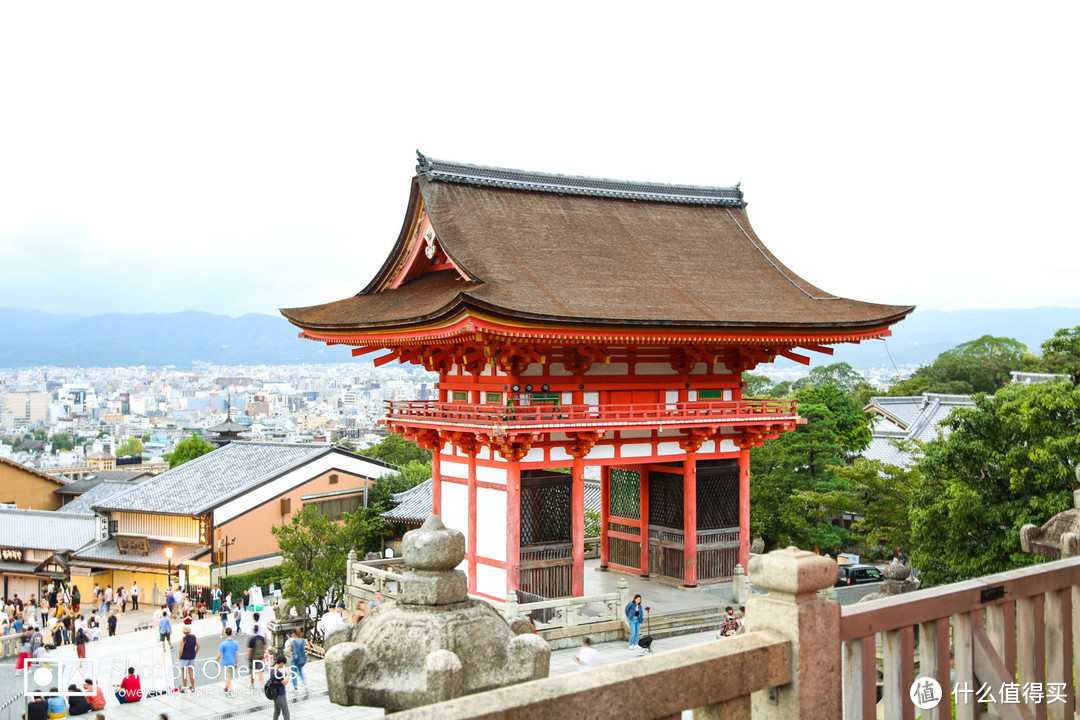 京都市内补全 岚山竹林探秘