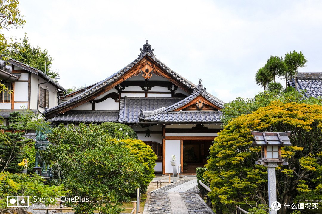 京都市内补全 岚山竹林探秘