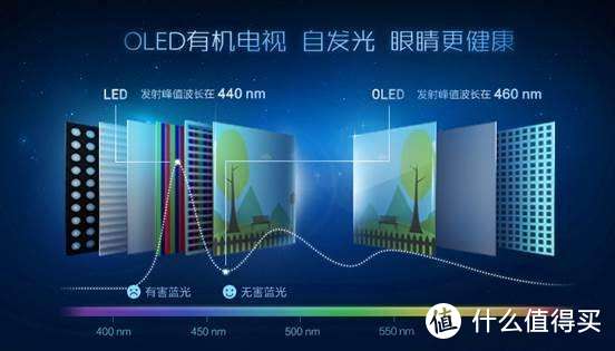 过年添大件？OLED电视选择不完全指北