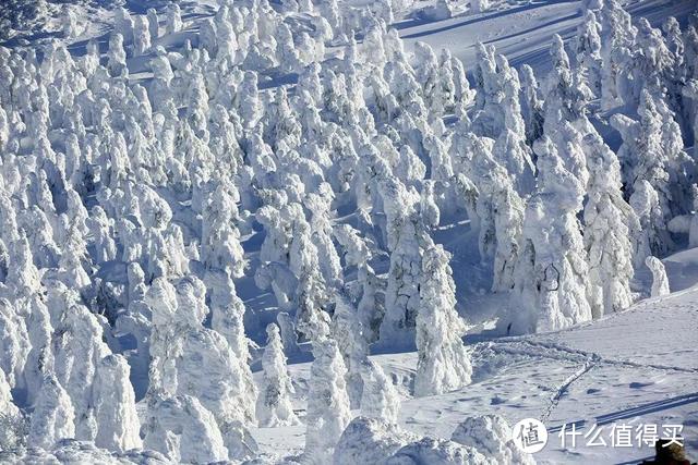 不输北海道的童话秘境，泡温泉、滑雪、吃和牛样样上头