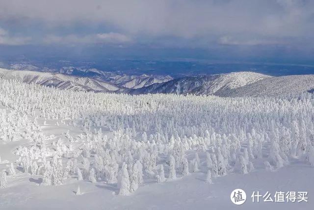 不输北海道的童话秘境，泡温泉、滑雪、吃和牛样样上头