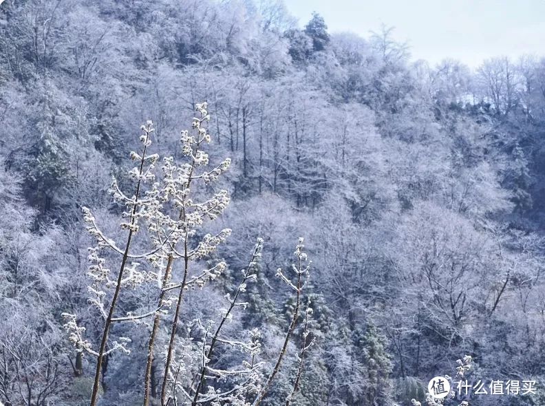 想好假期去哪儿玩了吗？帮大家整理了江浙沪周边的滑雪胜地，让你只花个零头就能承包你的冬季限定玩雪快乐！