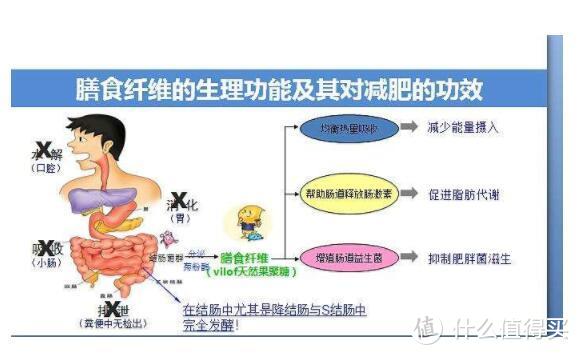 每逢佳节胖三斤？春节对抗长肉的九个建议