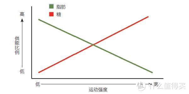 每逢佳节胖三斤？春节对抗长肉的九个建议