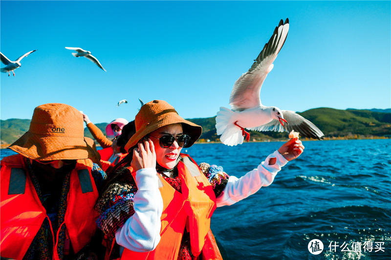 不再执着于打卡照的云南之旅，收获了初遇这片美景的惊喜与感动