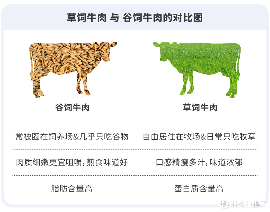 如果下半辈子只能吃一种牛肉干了，我希望是它