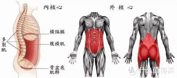 腰痛运动康复—急性期康复