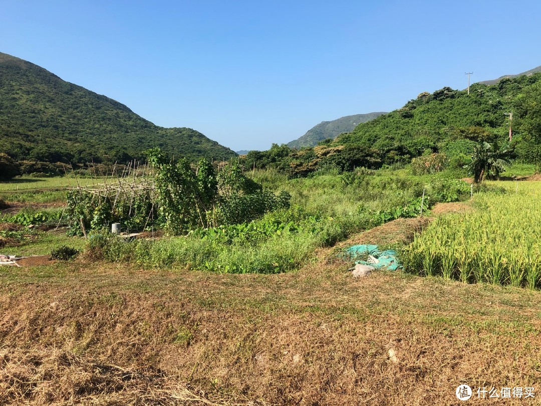 凤凰涅槃，浴火重生。— 轻装三天漫游凤凰径