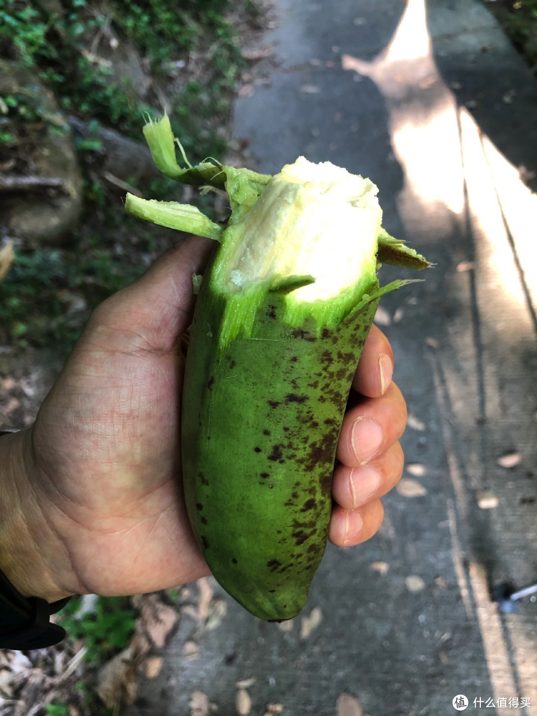 凤凰涅槃，浴火重生。— 轻装三天漫游凤凰径