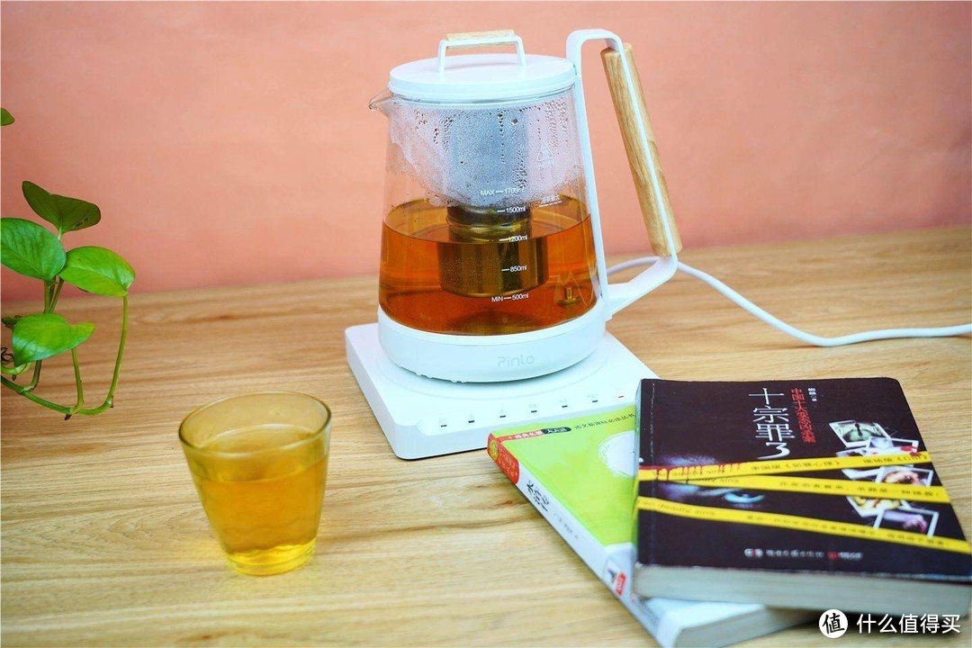 煮茶，炖盅，燕窝，一把养生壶全搞定--Pinlo品罗养生分享