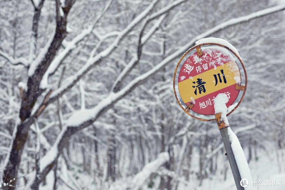 看看日本怎么租车自驾+青森+北海道+雪地陷车