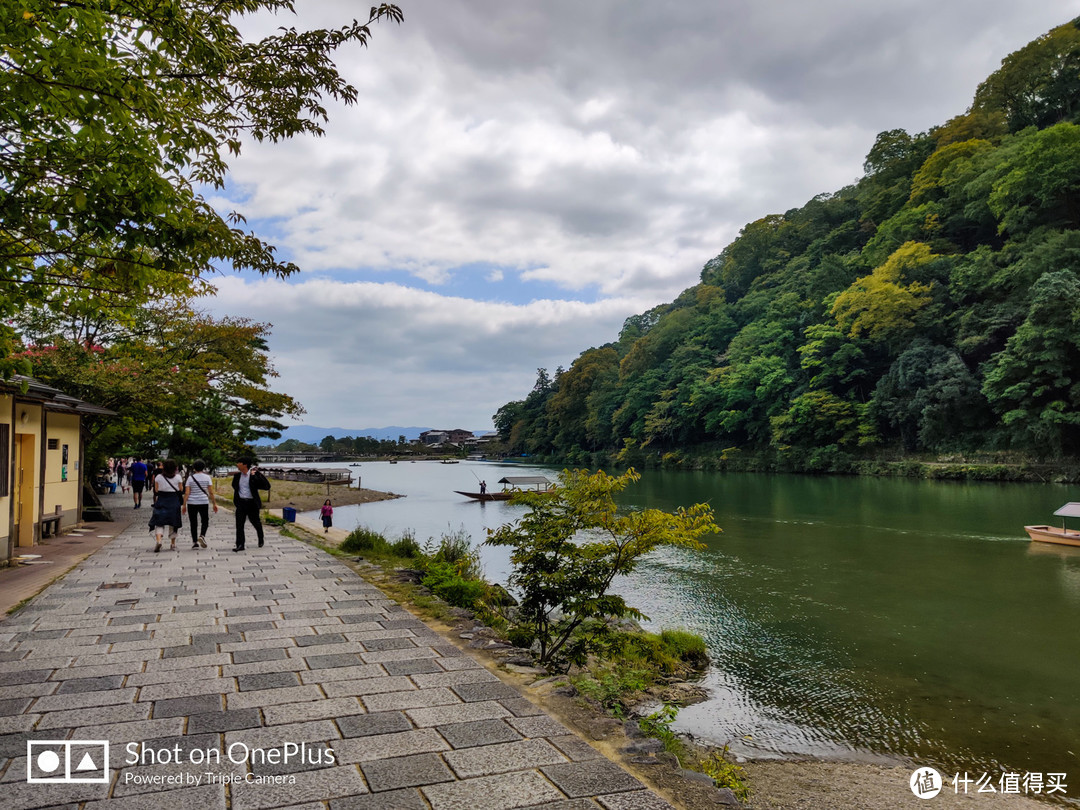 京都市内补全 岚山竹林探秘