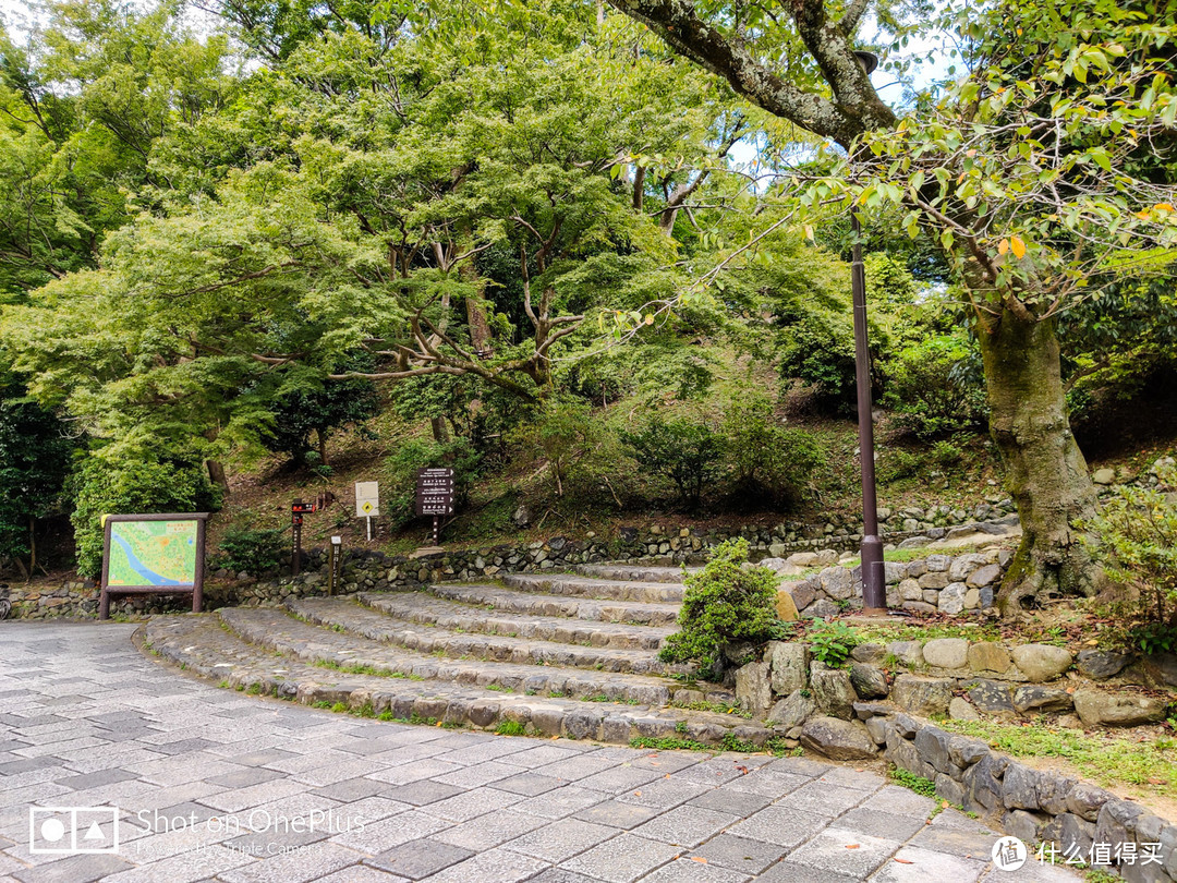 京都市内补全 岚山竹林探秘