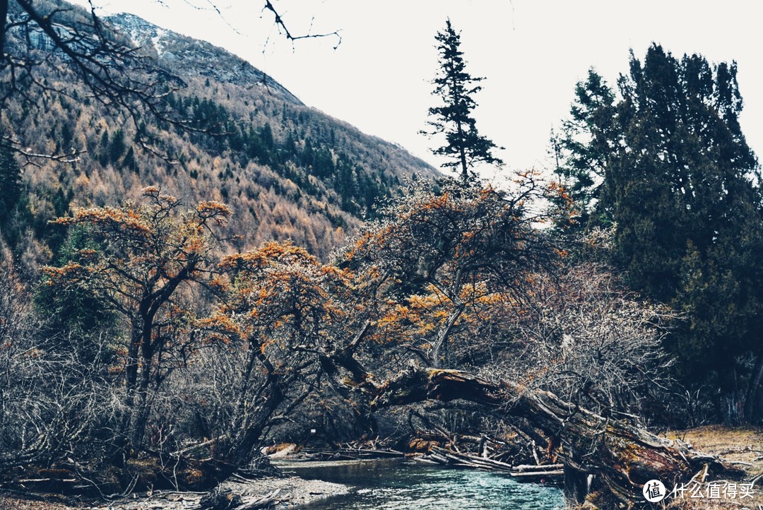 四姑娘山双桥沟游玩攻略