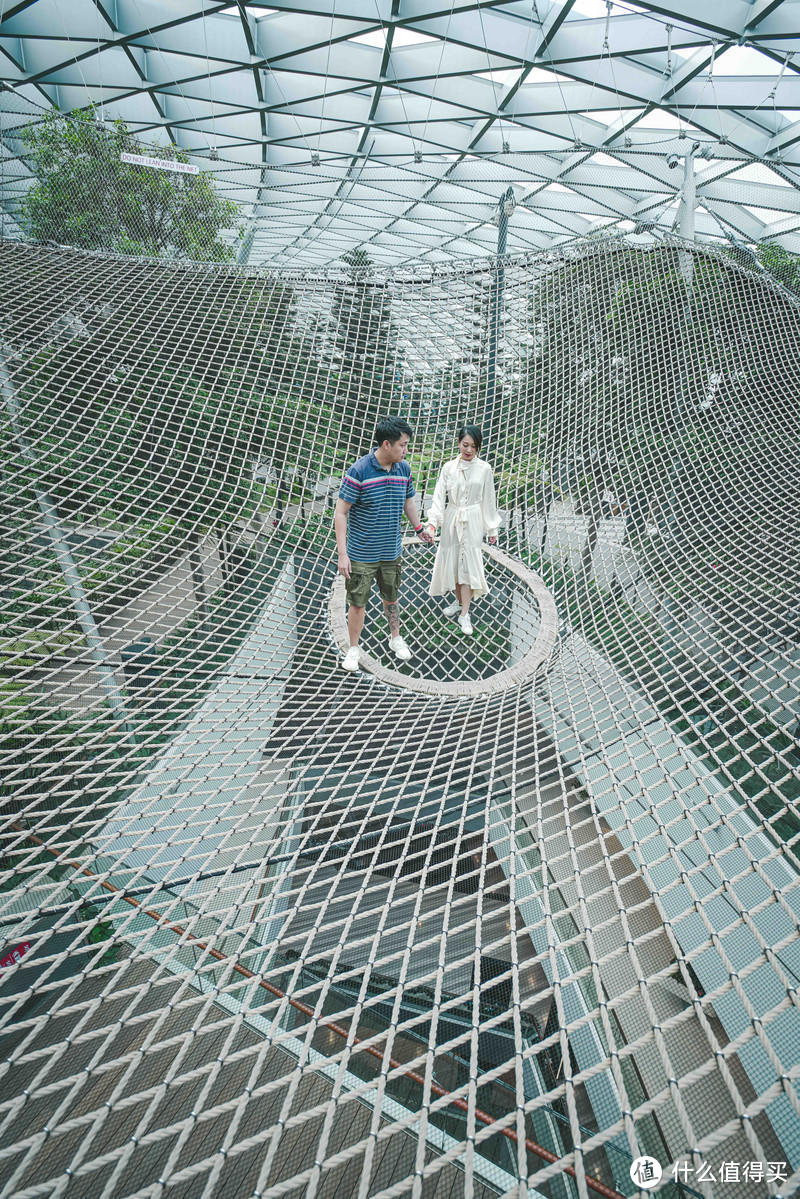 一人一猫蜜月旅行，牵手走过半海半城新加坡巴厘岛之旅