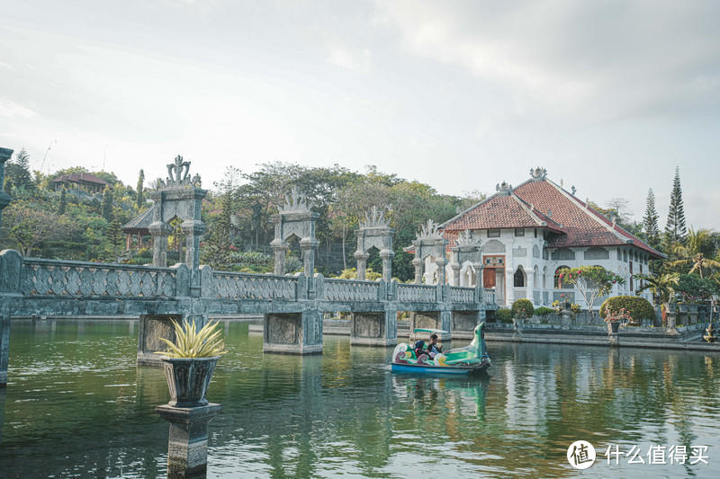 一人一猫蜜月旅行，牵手走过半海半城新加坡巴厘岛之旅