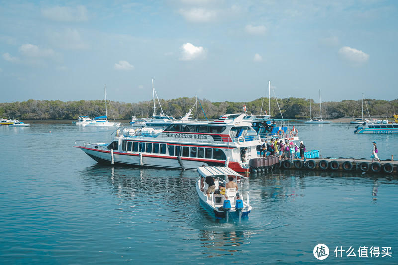 一人一猫蜜月旅行，牵手走过半海半城新加坡巴厘岛之旅