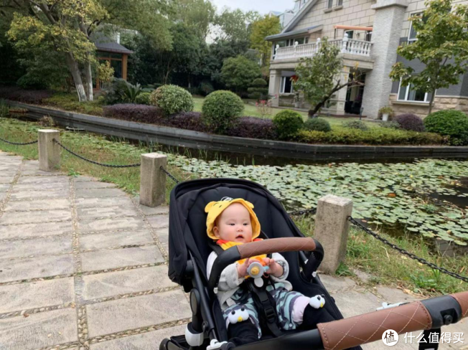 谢谢大家的建议 来分享刚到手的高景观婴儿车bugaboo Fox啦 婴儿推车 什么值得买