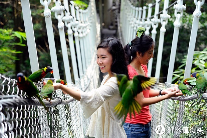 新加坡四大动物园，玩好了它们你的新加坡之行才不会有遗憾