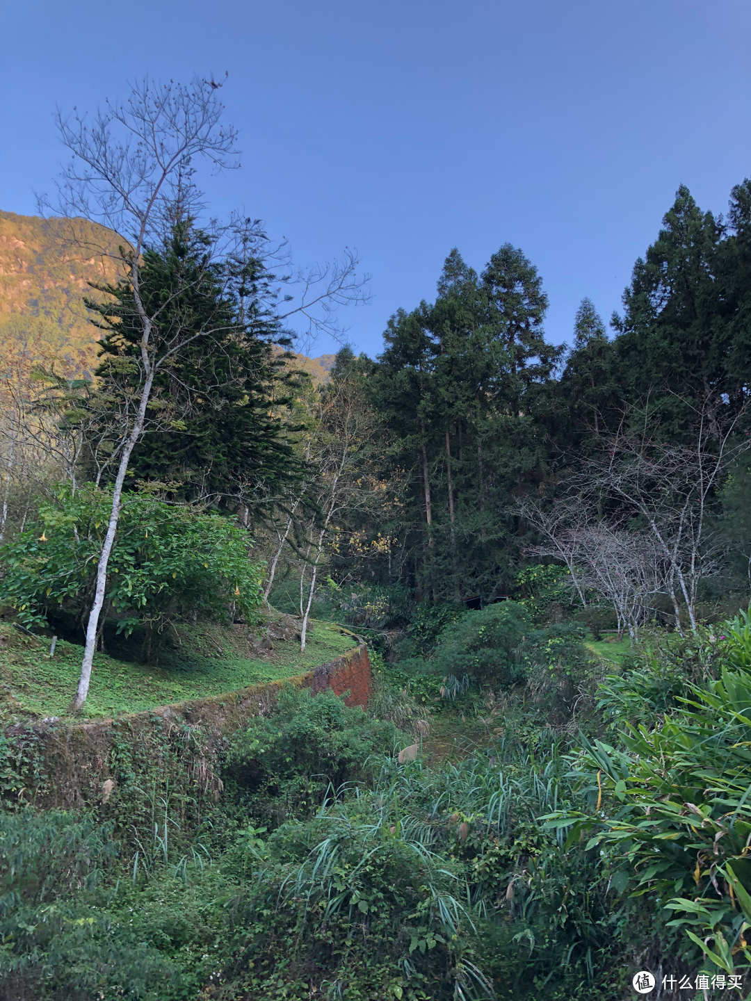 台湾旅游攻略day2：基隆野柳地质公园、南投溪头自然教育园区