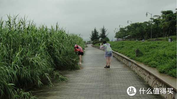 深圳-桂林-阳朔，三姐妹带着麻麻去旅行