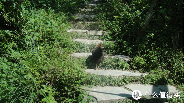 深圳-桂林-阳朔，三姐妹带着麻麻去旅行