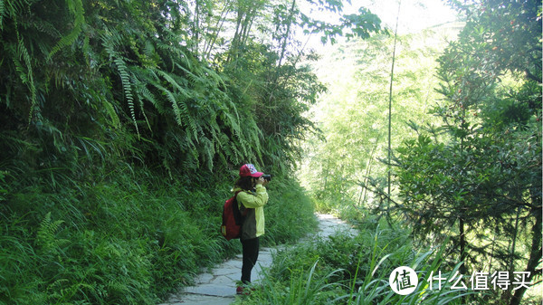 深圳-桂林-阳朔，三姐妹带着麻麻去旅行