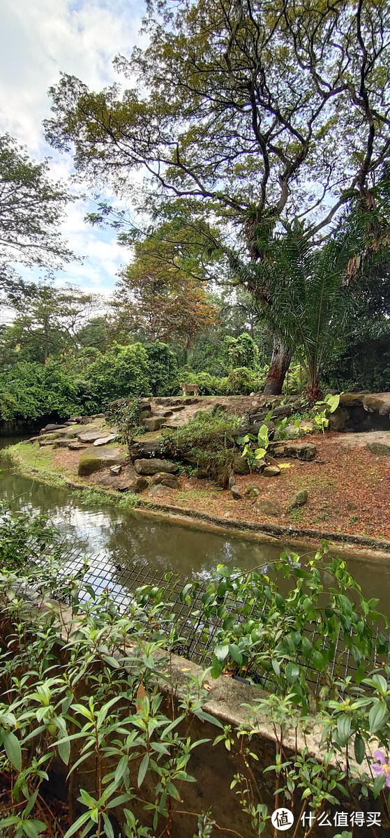 带2岁半娃新加坡自由行——佛系游记与所见所感