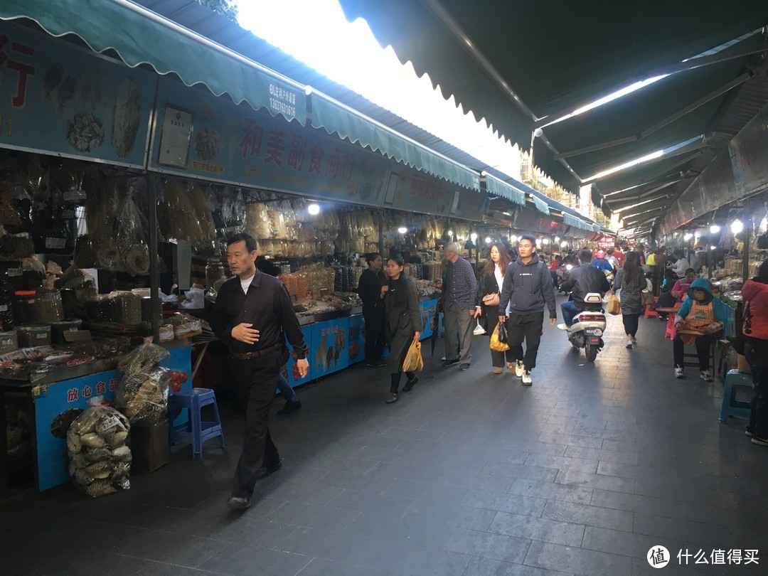 飞过大海来看你——携birdy海南岛环岛之旅