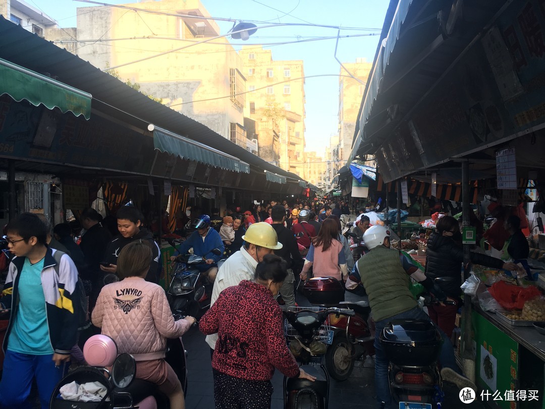 飞过大海来看你——携birdy海南岛环岛之旅