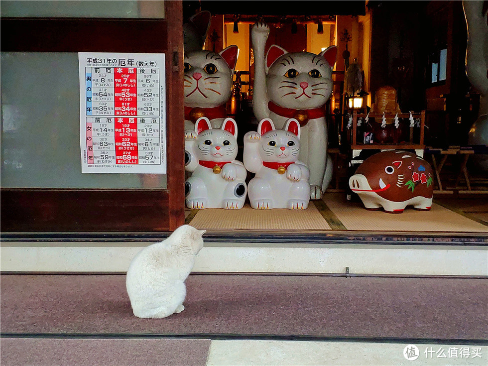 另外这里写着招财猫发源地，但是据我所知招财猫发源地应该是东京的豪德寺，那里面有上千个招财猫。这只喵出现在这里有点神奇，而且刚好类似参拜的一个动作，挺好玩的。