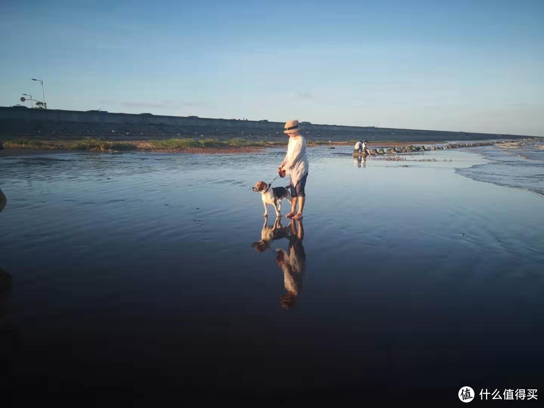 再休两周，床板睡塌，唯跑步解忧愁