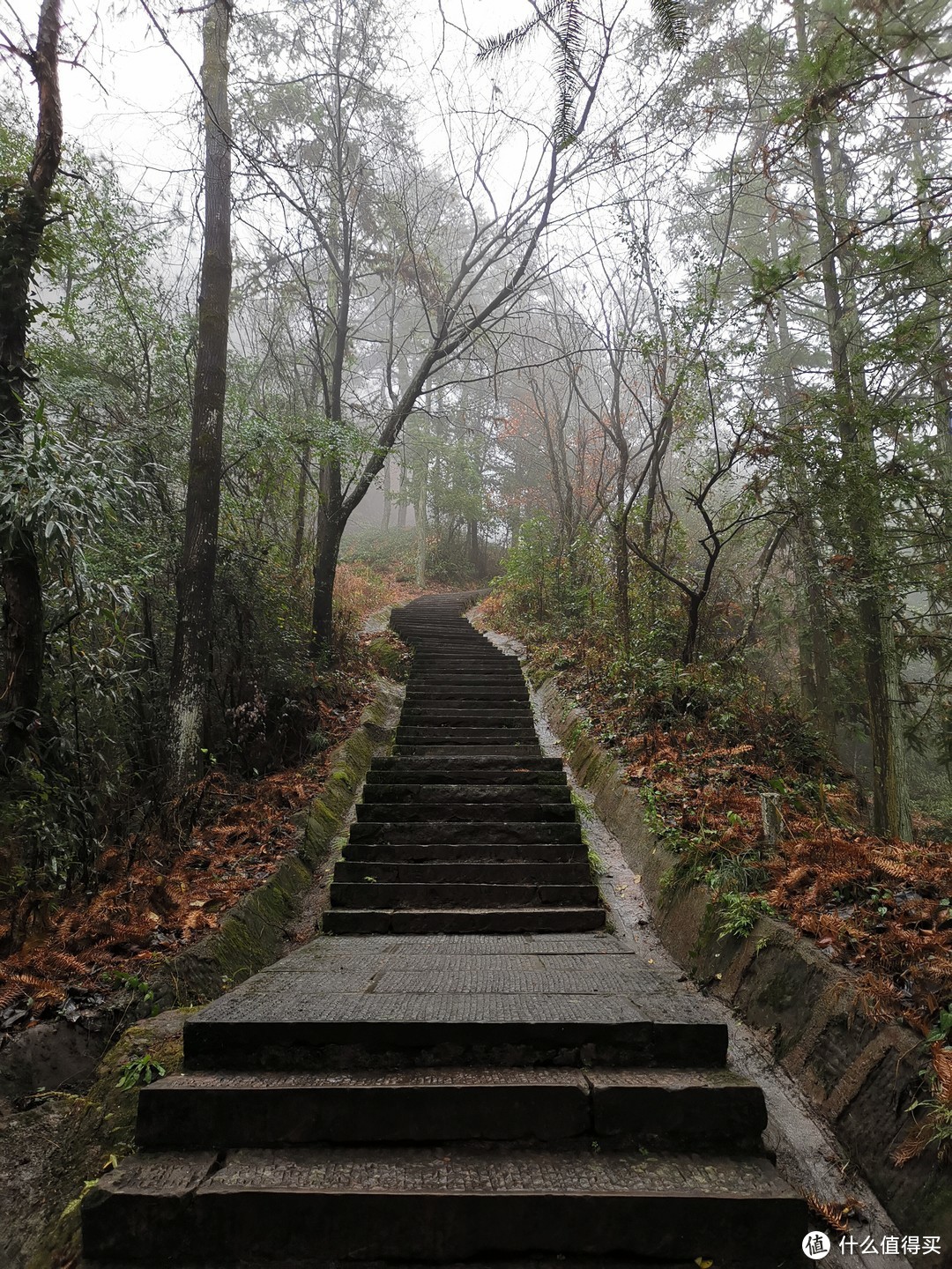 幽静的山路