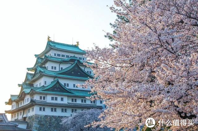 种草 | 机票常年特价的名古屋，附近好玩的地方可多了