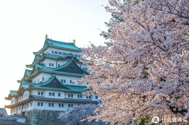 种草 机票常年特价的名古屋 附近好玩的地方可多了 国外自由行 什么值得买