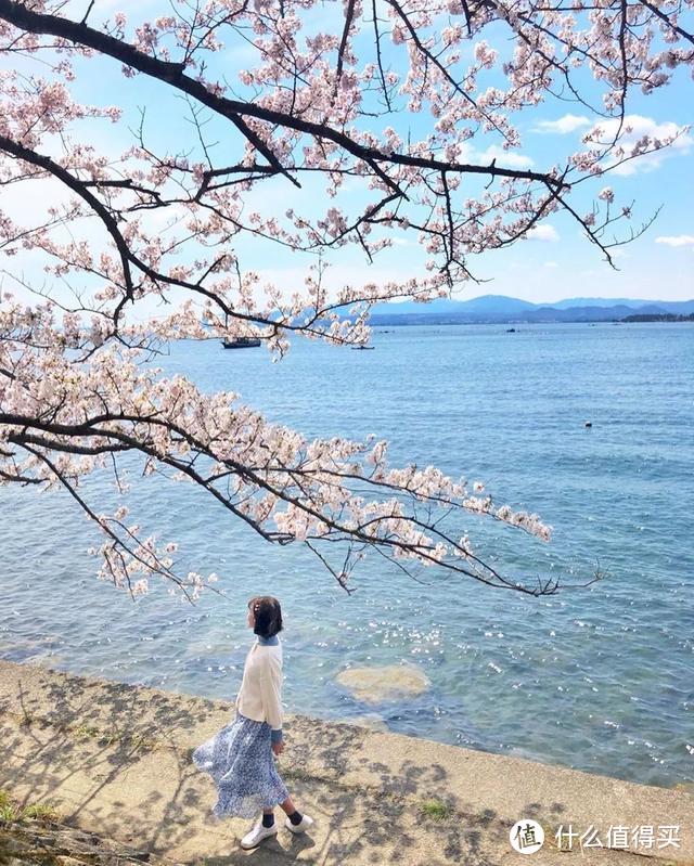 种草 | 机票常年特价的名古屋，附近好玩的地方可多了