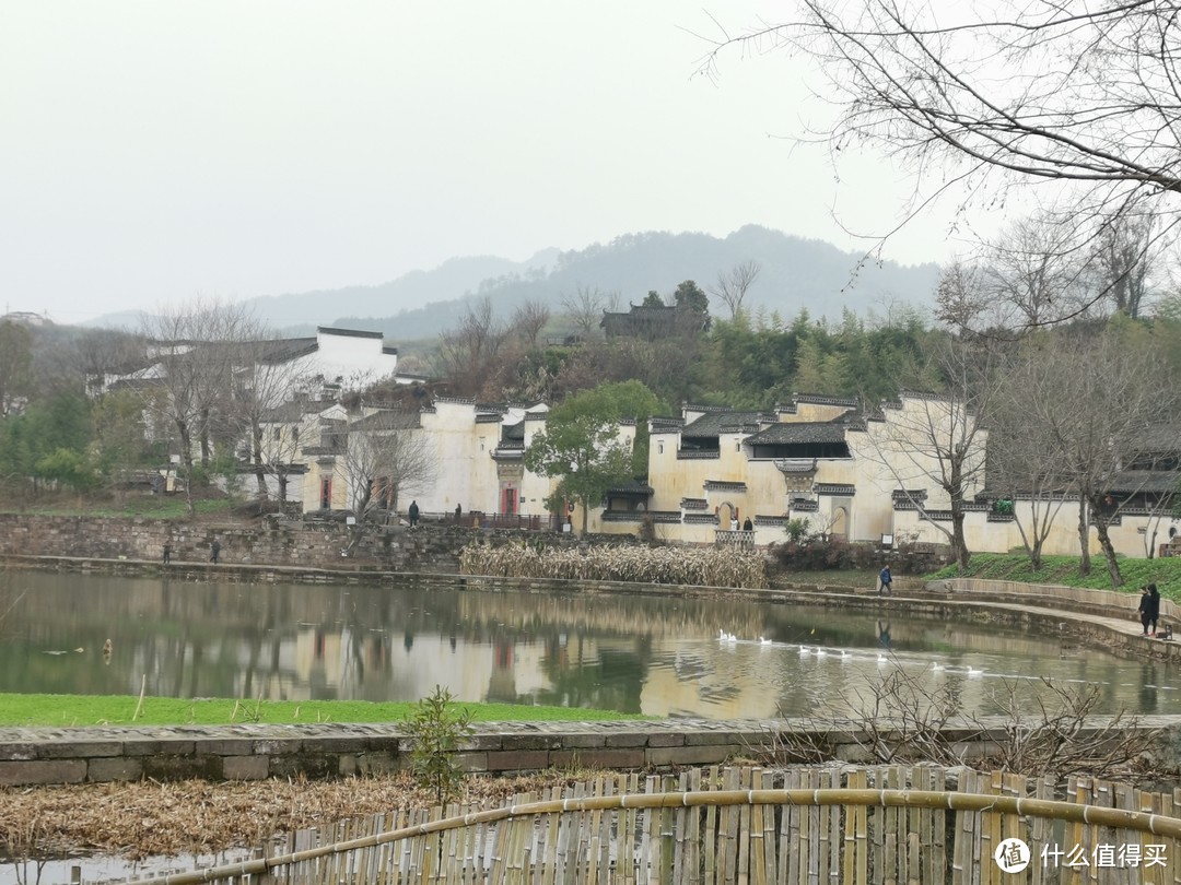 池塘里，游过一群鸭