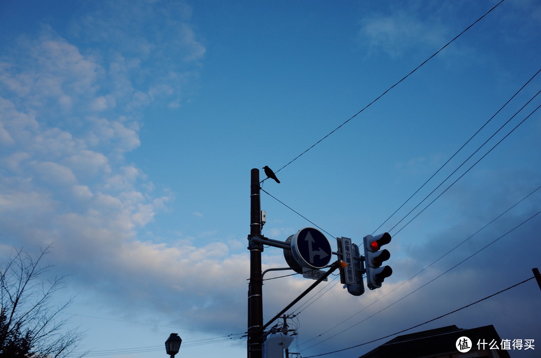 北海道:打卡浪漫而唯美的小樽