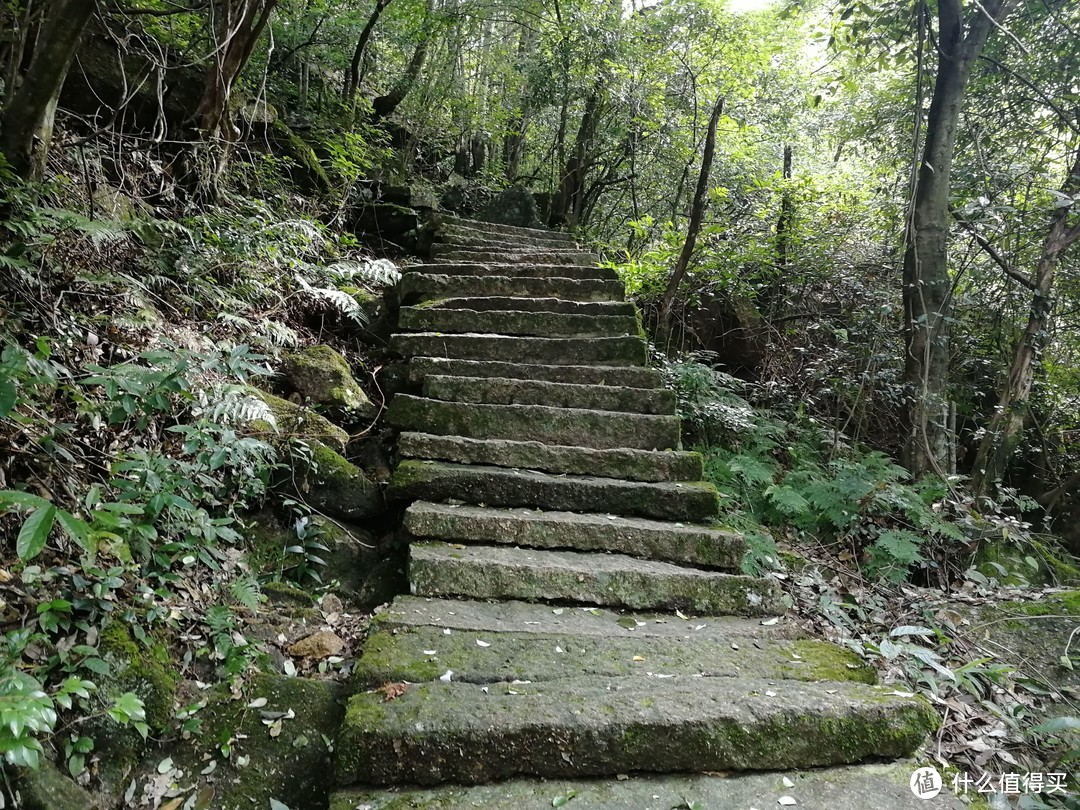 秀藏秀，奇出奇，江西人的三清山游记