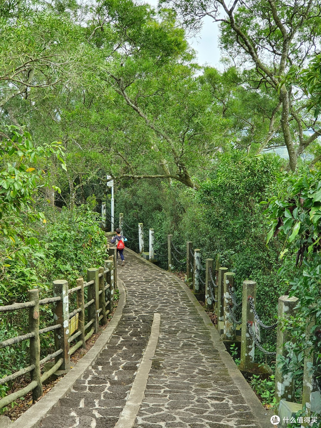 不算高，一路小跑就上来了