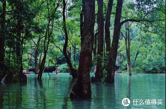 假期宅家无聊？送你一份假期观影指南，跟这些高分影视一起云旅行