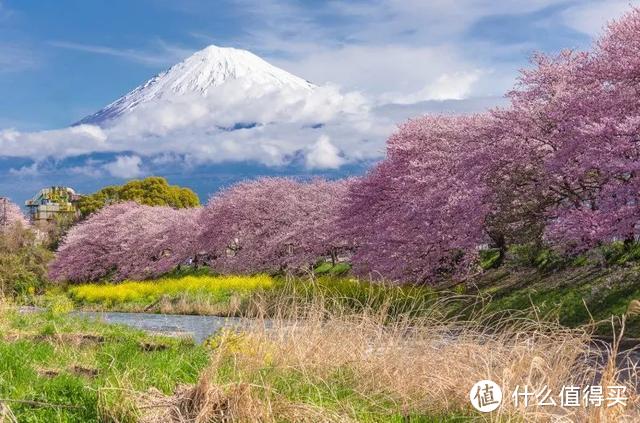 资深玩家的日本私藏度假地，人少景美性价比还超高