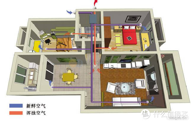 PVC系统的设计图，通过主硬管道经过每个房间时用三通卸下支路。