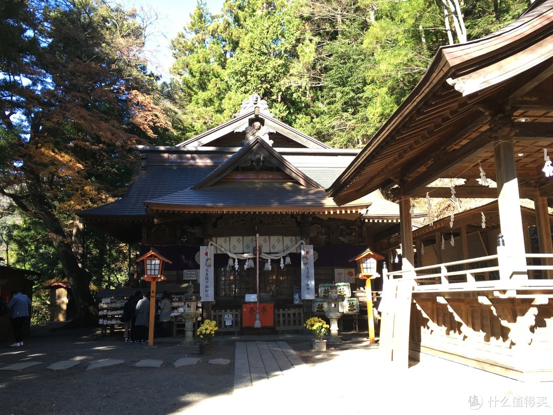 河口湖一日游+迪士尼海洋