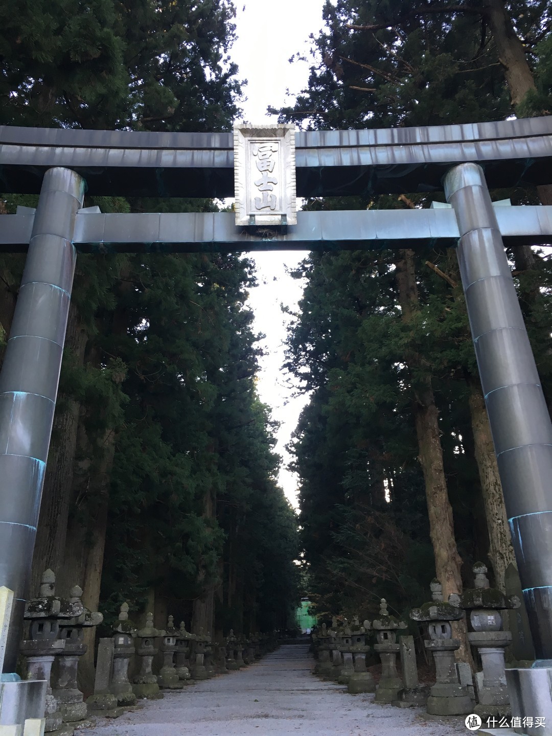 河口湖一日游+迪士尼海洋