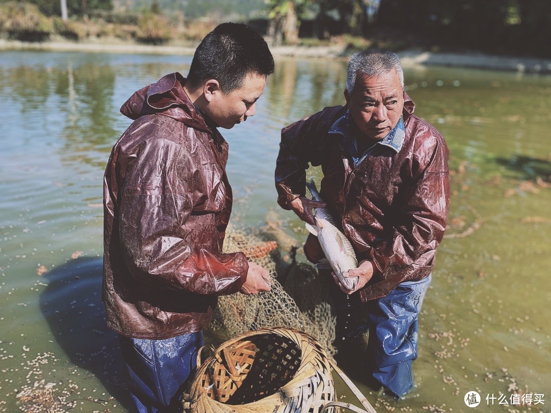 新年好|宅在家里，与你细数家乡的年味