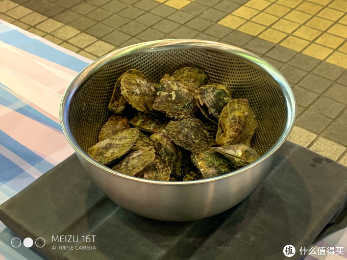 买口罩攻略+名古屋水族馆/乐高乐园游玩