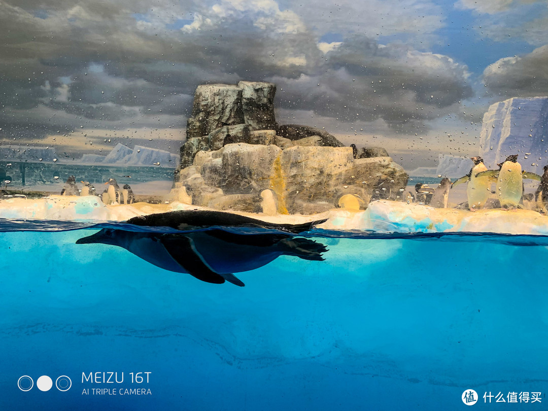 买口罩攻略+名古屋水族馆/乐高乐园游玩