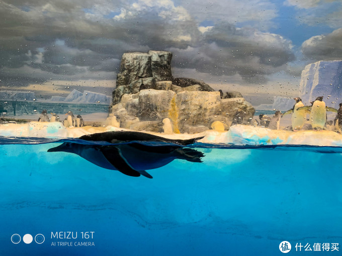 买口罩攻略+名古屋水族馆/乐高乐园游玩